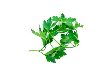 Top view parsley leaves isolated on white background.