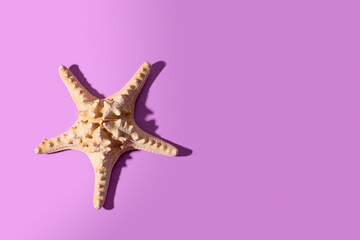 Starfish on the purple background with free space for text, modern card on sea travel theme