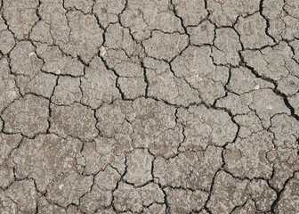 Dry soil background.