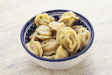 Russian boiled dumplings with meat