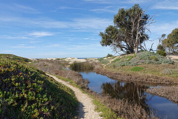 In Pismo Beach, California, sandy trails wind through dunes and alongside a creek that leads to the Pacific Ocean during a partly cloudy afternoon.