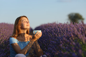 Woman drinking coffee in lavender field at sunset - obrazy, fototapety, plakaty