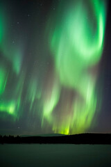 Amazing bright green Northern Lights display (Aurora Borealis) over trees in a forest in the beautiful, colourful night sky, Pallas-Yll�stunturi National Park, Lapland, Finland, Arctic Circle