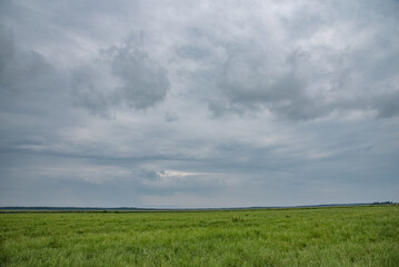 Fototapeta premium Beautiful clouds in the european summer sky.