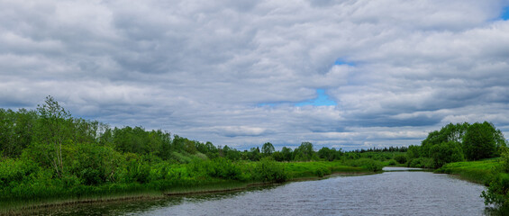 Spring background with a beautiful landscape on the river, nature in summer