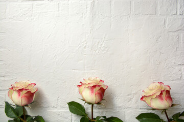roses for postcard