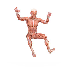 Fototapeta premium average man muscle maps is doing a parkour pose number nine