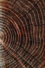 Fototapeta premium beautiful wooden background in vintage style