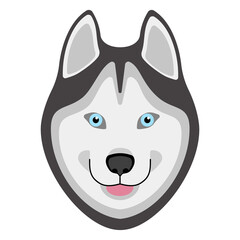 Black and white Siberian husky with blue eyes. Husky happy dog. Vector illustration in cartoon flat style. Isolated on white background.