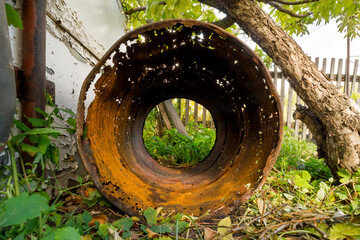 An old rusty barrel on the backyard of a village house.