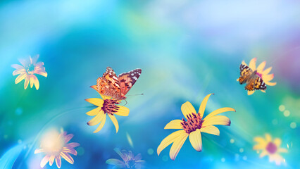 Yellow summer flowers  and orange butterfly in a fairy garden. Copy space.