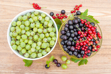 Black currant. Red currant. Gooseberry. Harvested berries in bowls.