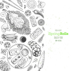 Asian food menu design template. Spring rolls and ingredients for spring rolls vector illustration. Vietnamese food top view frame. Vintage hand drawn sketch vector illustration. Engraved image.