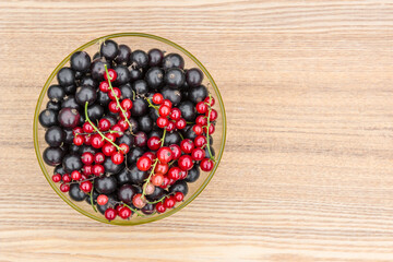 Black currant and several branches of red currant.