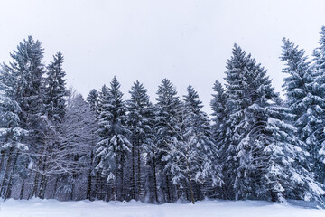Winterlandschaft in Bayern