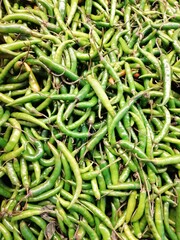 Grupo de Ejotes crudos