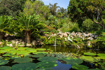 The scenic Crocodile Pond with aquatic plants at La Mortella Garden, Forio, Ischia, Italy - obrazy, fototapety, plakaty