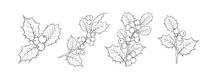 Set of different branches of mistletoe flowers, seamless pattern and circle frame on white background.