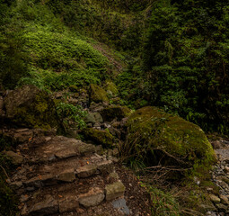 Madeira - Queimadas – Levada do Caldeirao Verde