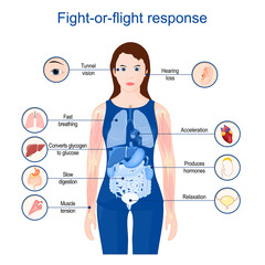 fight-or-flight-or-freeze.  acute stress response.