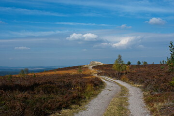 road in the field, Tok, Brdy