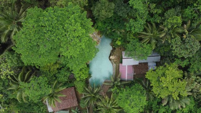 garden, house, old, wall, building, nature, architecture, wood, window, stone, plant, wooden, door, tree, leaf, ivy, summer, forest, rural, exterior, flower, grass, water, kedungpedut, kulonprogo