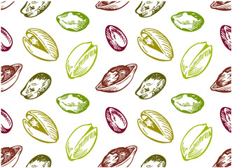 Sketch hand drawn pattern of colorful pistachios nuts isolated on white background. Engraving drawing nut wallpaper. Organic vegan food packaging. Vector illustration. - 485655953
