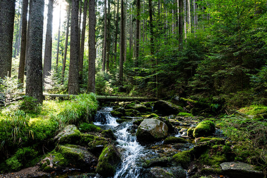 waterfall in the forest Bily potok, Sumava	