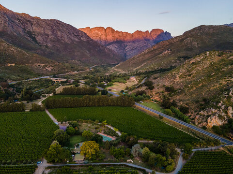 Aerial view of fruit farm in Witzenberg Valley, Cape Winelands, Western Cape, South Africa.