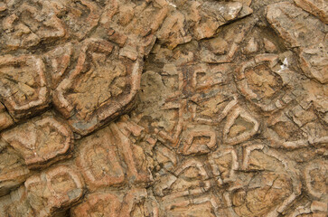 Rock with hexagonal basalt columns. Integral Natural Reserve of Inagua. Tejeda. Gran Canaria. Canary Islands. Spain.