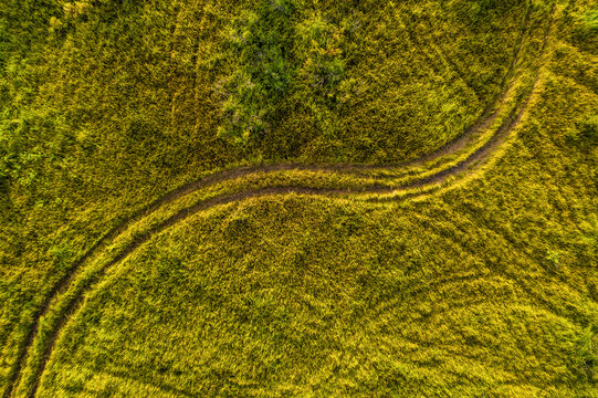 Aerial view of a trail in a field, Palm Bay, Florida, United States.