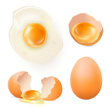 Realistic chicken eggs on white background. Detailed fried egg top view, broken, fresh and whole egg. Fast food for breakfast, lunch, dinner. JPG illustration