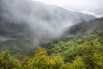Drifting mist from the summit of Table Rock, Monongahela National Forest, West Virginia