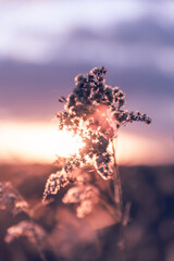 Sunset © Zuzanna
