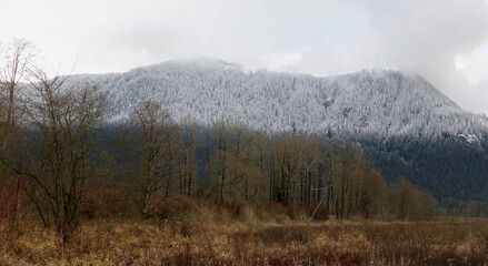Naklejka na ściany i meble Winter is coming to the Cascade Mountains