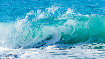 A crystal-clear wave crashing on a Florida beach