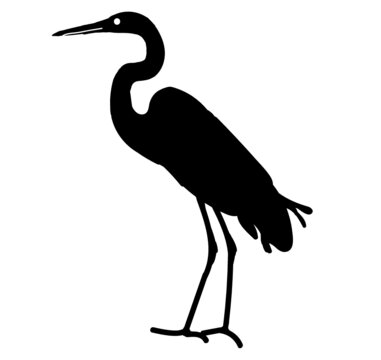 illustrated great egret bird silhouette