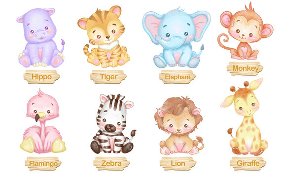 Jungle Safari animals illustration of watercolor painting. Baby animals with wood name plate. 