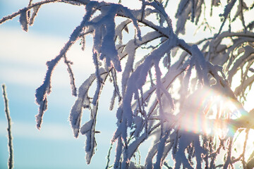  Blurred winter background.