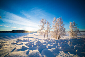  Blurred winter background.