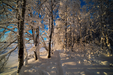  Blurred winter background.