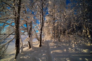  Blurred winter background.