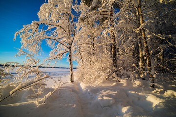  Blurred winter background.