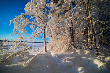  Blurred winter background.