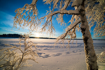  Blurred winter background.