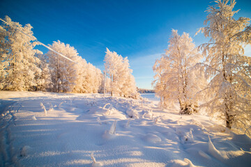  Blurred winter background.