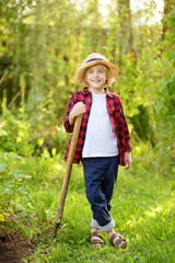 Little boy with shovel on the domestic garden at summer sunny day. Family gardening activity with...