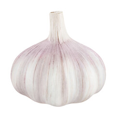 Single delicious garlic bulb, isolated on white background