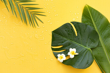 Top view tropical leaves on vibrant background. Summer flat lay composition.