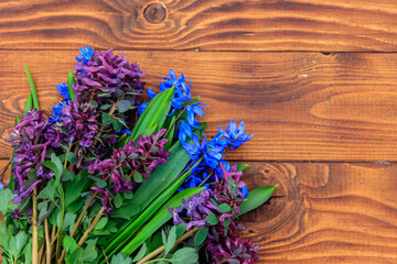 Bouquet of purple corydalis flowers and blue scilla flowers on wooden background